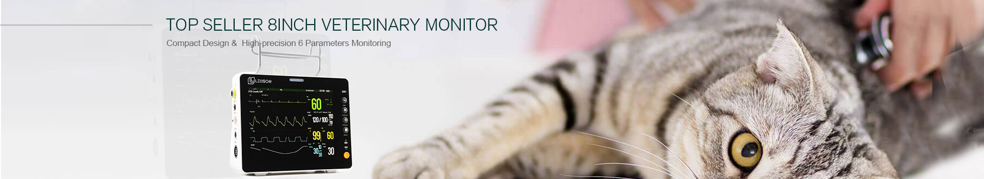 TOP SELLER 8inch Veterinary Monitor