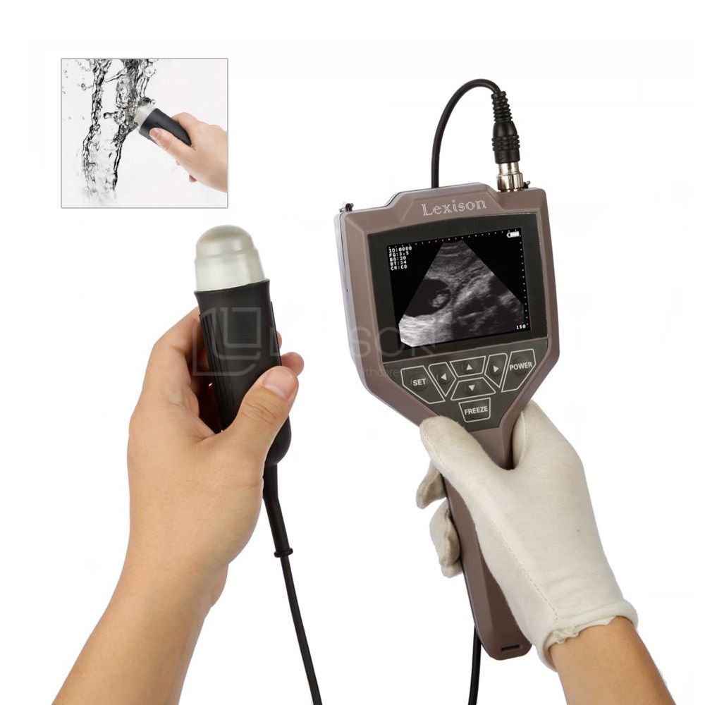 PRUS-S3V Full-digital Swine, Ovine Ultrasound Scanner