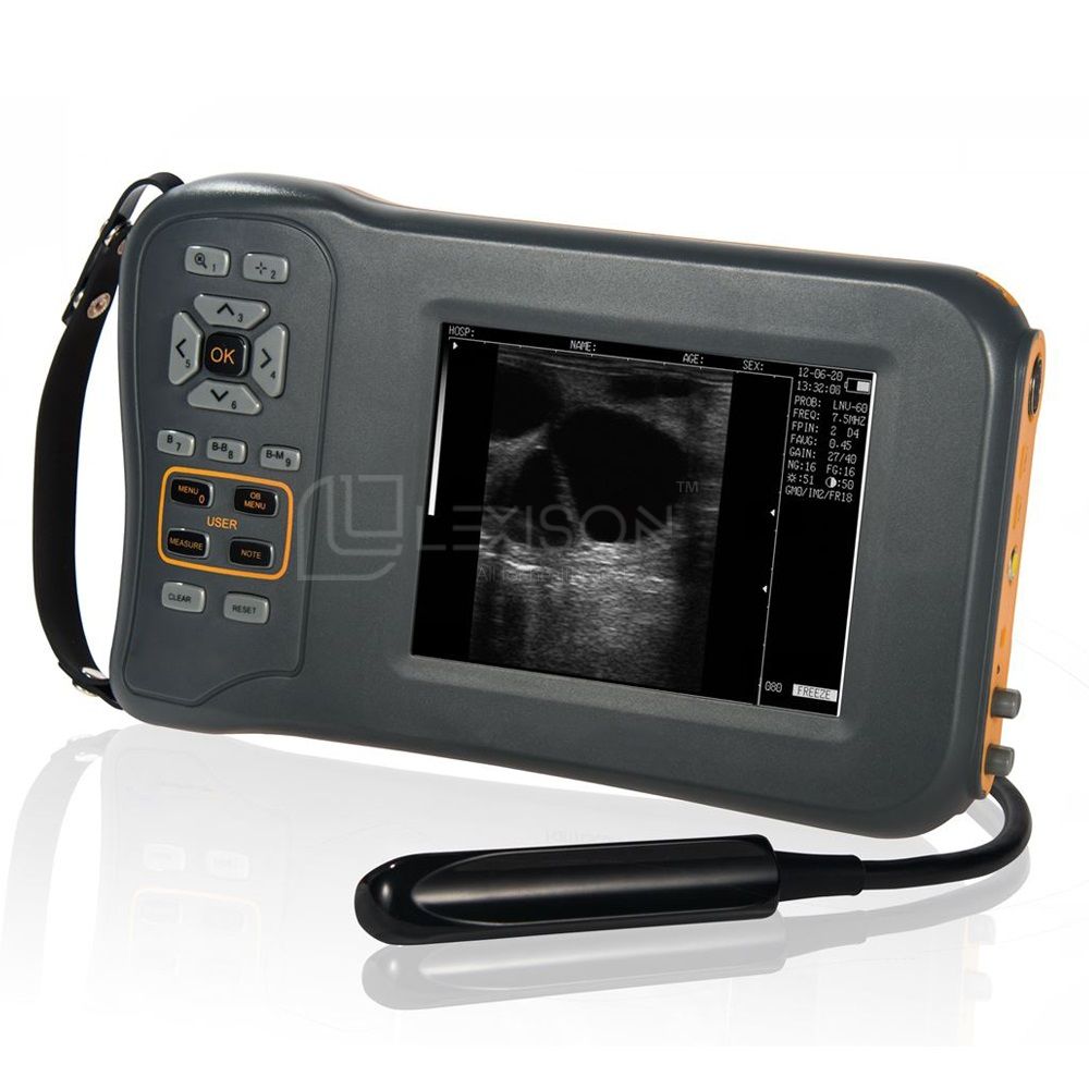 PRUS-BL600V Veterinary Ultrasound Scanner