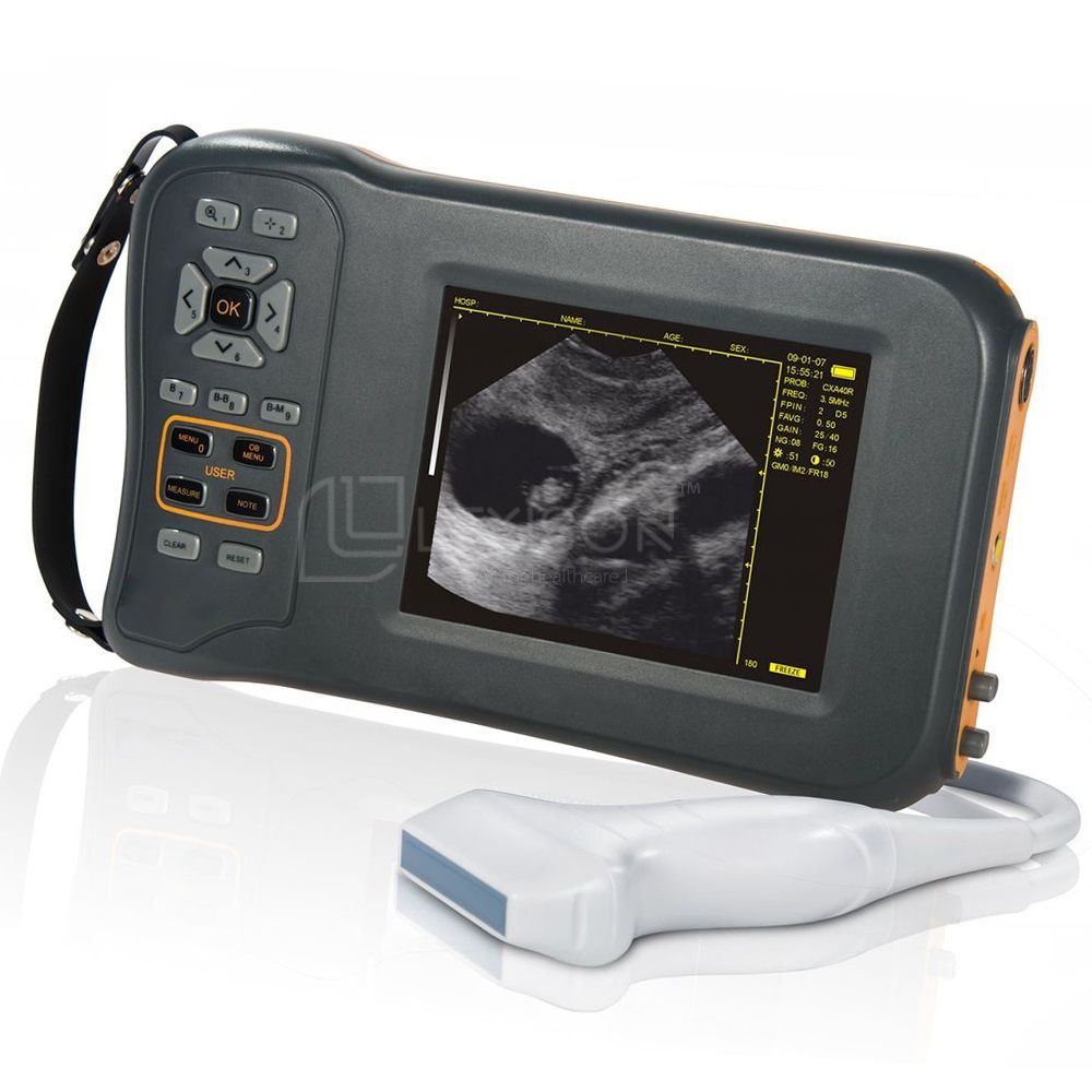 PRUS-BL600V Veterinary Ultrasound Scanner