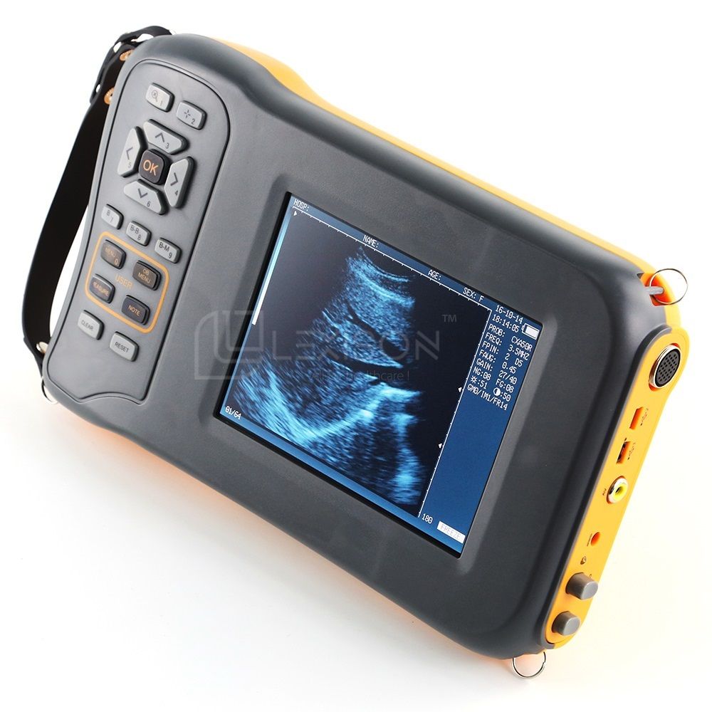 PRUS-BL600V Veterinary Ultrasound Scanner