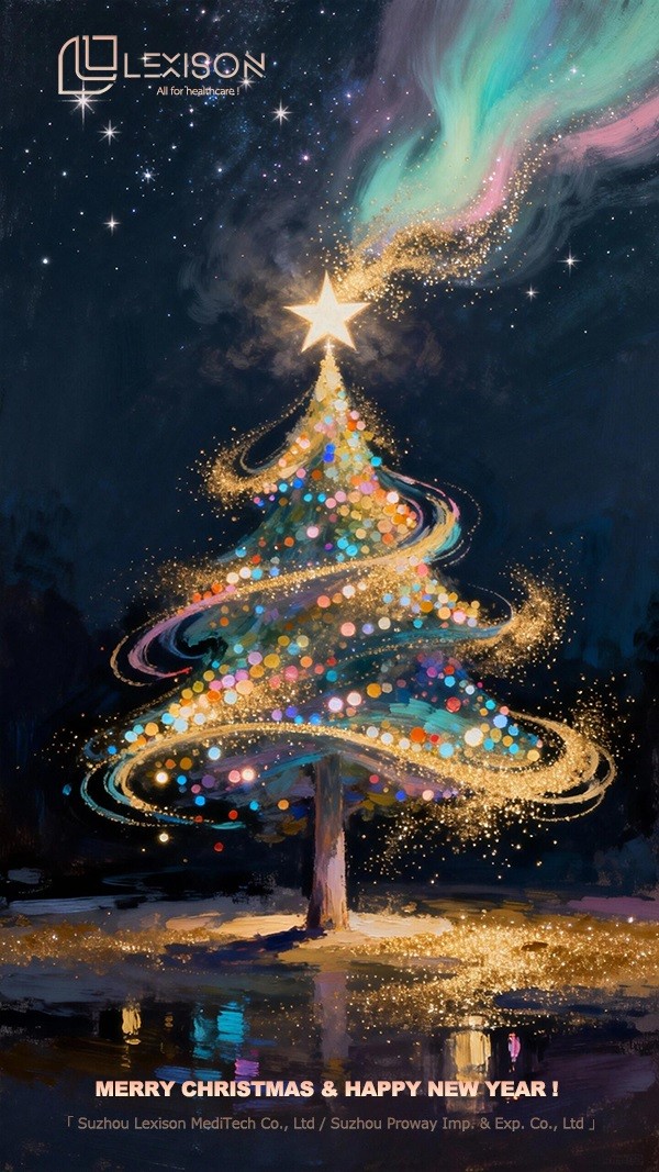 Merry Christmas & Happy New Year!